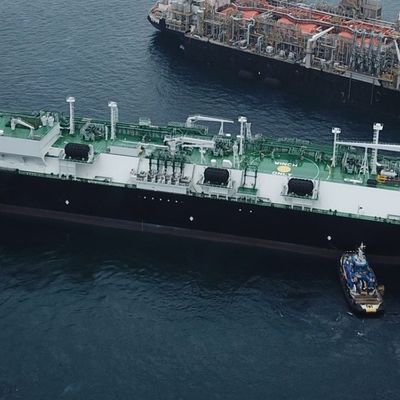 ABS Q235 Flansch 80Kpa Marine Rubber Bumper für die Trägergase, die Stoßdämpfer ankoppeln