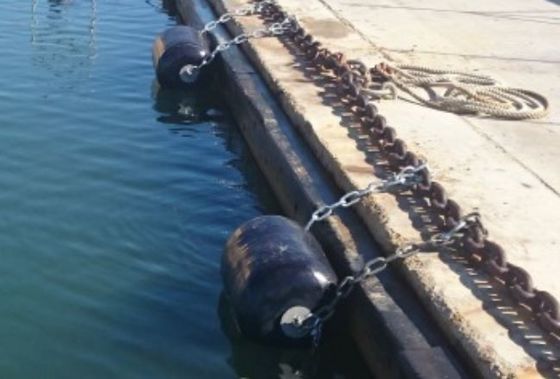 Fabrik-Versorgungs-Kundenbezogenheit mit Kollisions-Verteidigungs-Schiffs-Schutz-Boot